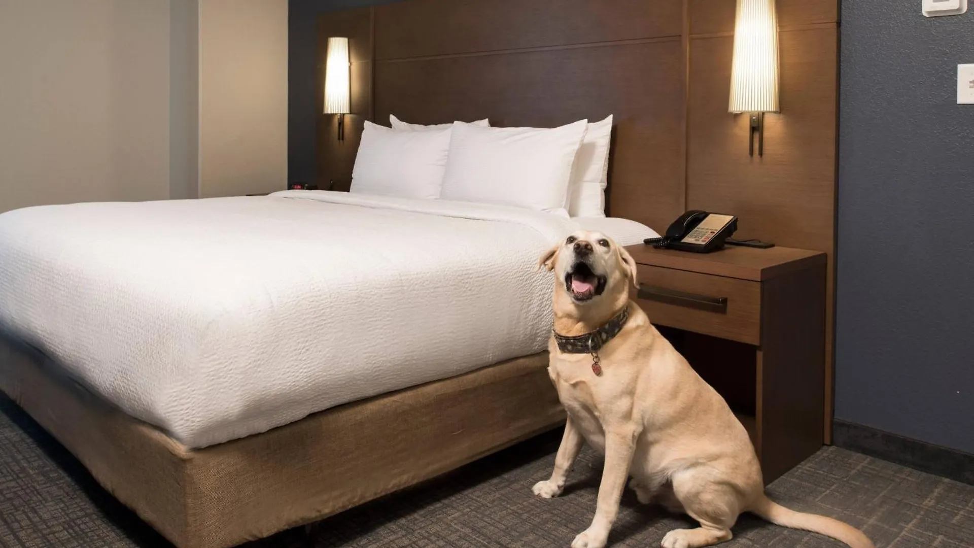 Residence Inn Memphis Downtown